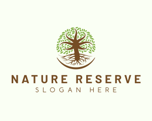 Organic Oak Tree Nature logo design