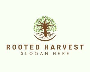 Organic Oak Tree Nature logo design