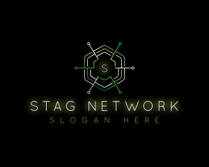 Digital Software Network logo design