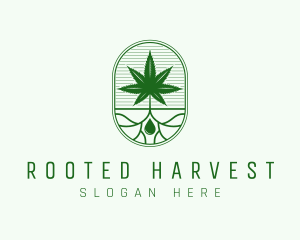 Marijuana Plant Extract logo design