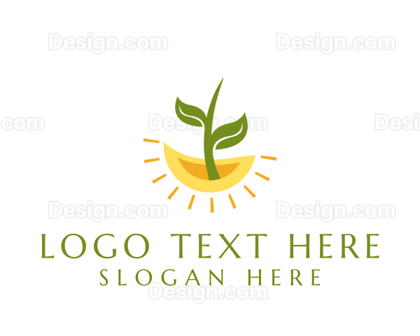 Botany Plant Leaf Logo