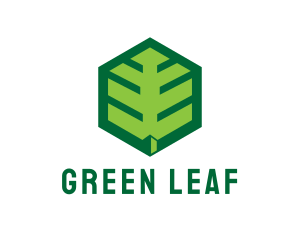 Green Hexagon Leaf logo design
