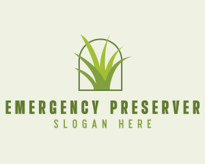 Eco Green Grass logo design