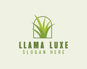 Eco Green Grass logo design