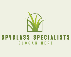 Eco Green Grass logo design