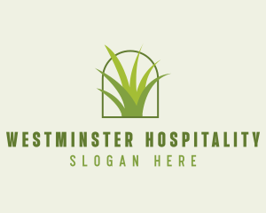 Eco Green Grass logo design