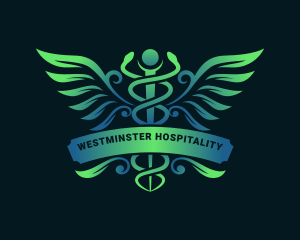 Medical Wings Hospital logo design