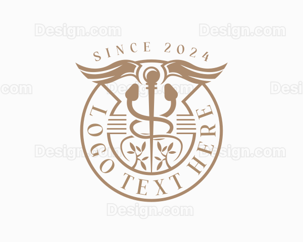 Clinic Healthcare Caduceus Logo