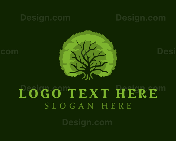 Natural Oak Tree Logo