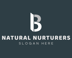 Professional Business Letter B logo design