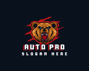 Wild Angry Bear Gaming logo