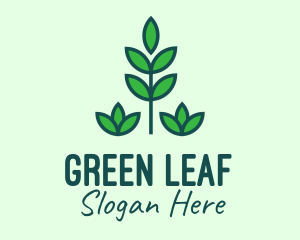 Green Eco Garden Plant logo design