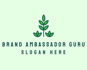 Green Eco Garden Plant logo design