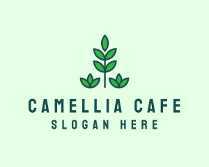 Green Eco Garden Plant logo design