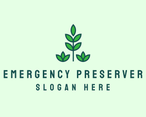 Green Eco Garden Plant logo design