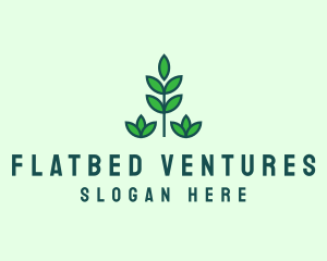 Green Eco Garden Plant logo design