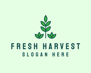 Green Eco Garden Plant logo design