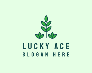 Green Eco Garden Plant logo design