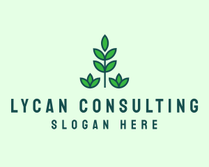 Green Eco Garden Plant logo design