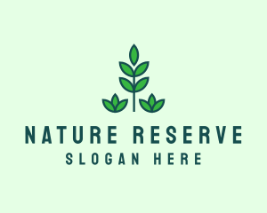 Green Eco Garden Plant logo design