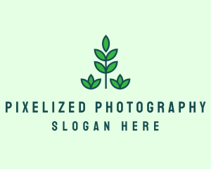 Green Eco Garden Plant logo design