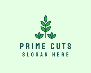 Green Eco Garden Plant logo design