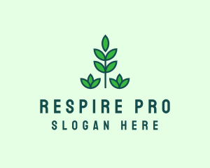 Green Eco Garden Plant logo design