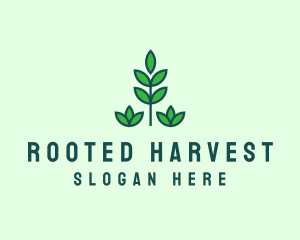 Green Eco Garden Plant logo design