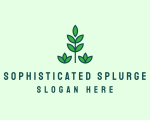 Green Eco Garden Plant logo design