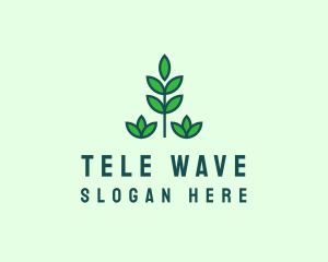 Green Eco Garden Plant logo design