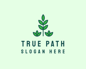 Green Eco Garden Plant logo design