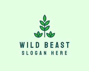 Green Eco Garden Plant logo design