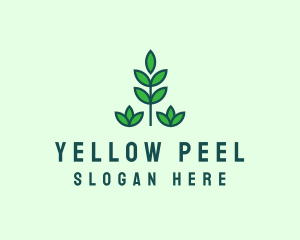 Green Eco Garden Plant logo design