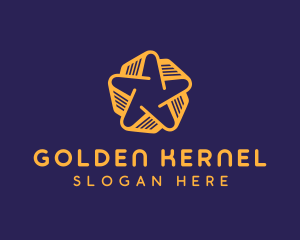 Golden Star Book logo design