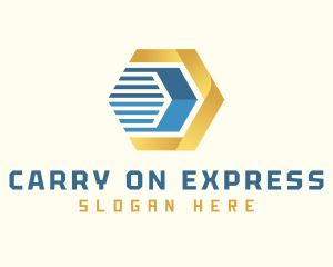 Hexagon Express Cargo logo design