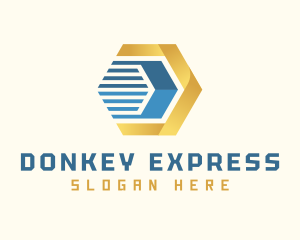 Hexagon Express Cargo logo design