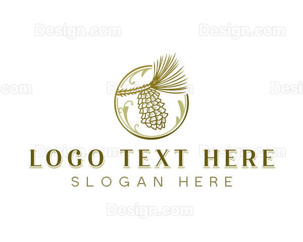 Loblolly Pine Cone Logo