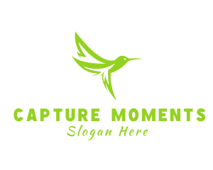 Natural Leaf Hummingbird logo