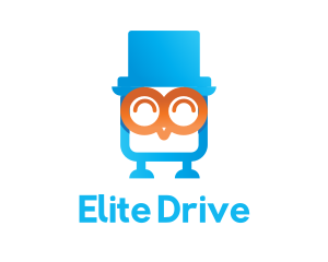 Owl Flash Drive logo design