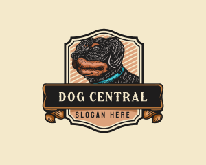 Dog Grooming Veterinary logo design