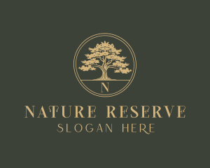 Oak Tree Forest  logo design