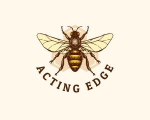 Honey Bee Apiary logo design