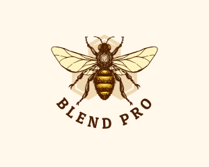 Honey Bee Apiary logo design