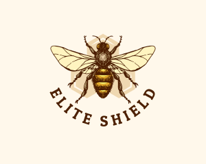 Honey Bee Apiary logo design