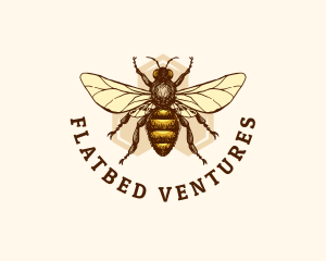 Honey Bee Apiary logo design