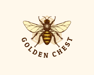 Honey Bee Apiary logo design