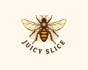 Honey Bee Apiary logo design