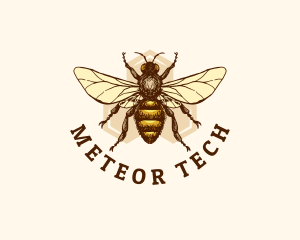 Honey Bee Apiary logo design