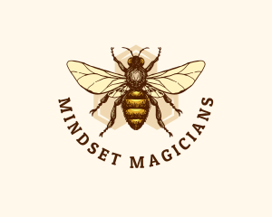 Honey Bee Apiary logo design