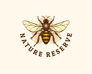 Honey Bee Apiary logo design